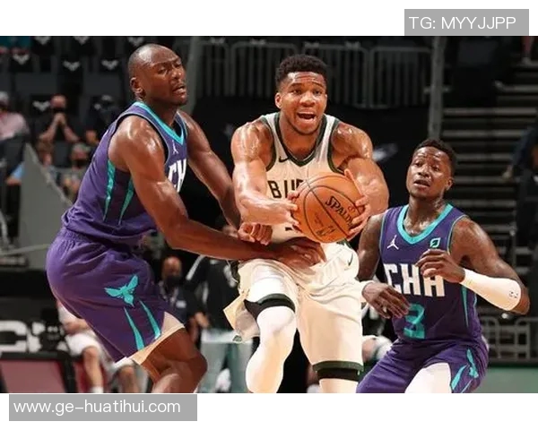 字母哥与克努佩尔联手，雄鹿加时力擒黄蜂